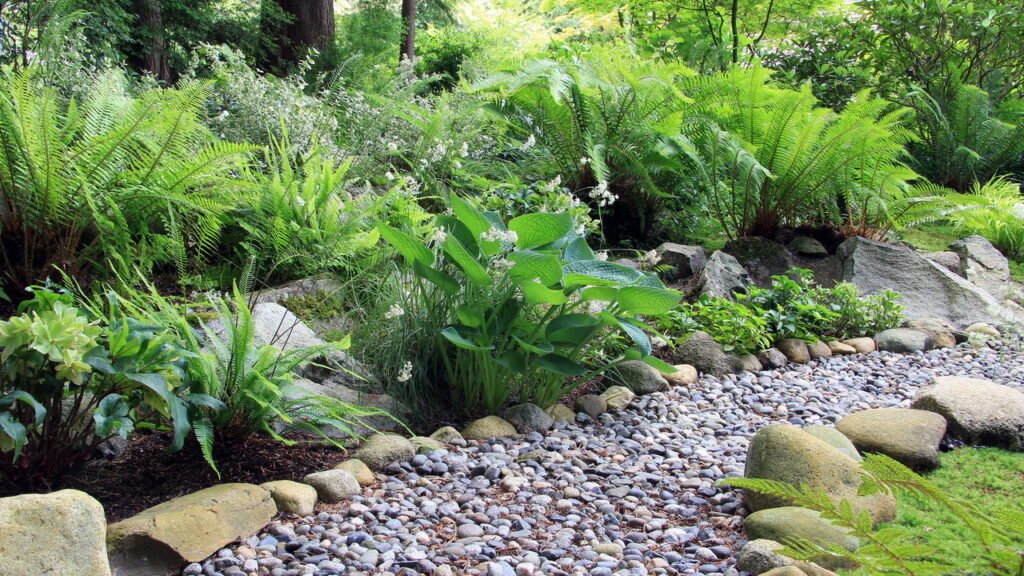 Essas pedras parecem decorativas mas fortalecem as plantas de verdade
