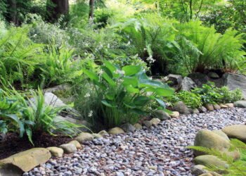 Essas pedras parecem decorativas mas fortalecem as plantas de verdade