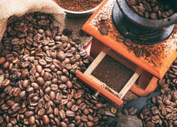 6 formas geniais de reutilizar borra de café e surpreender no jardim e em casa