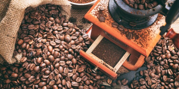 6 formas geniais de reutilizar borra de café e surpreender no jardim e em casa