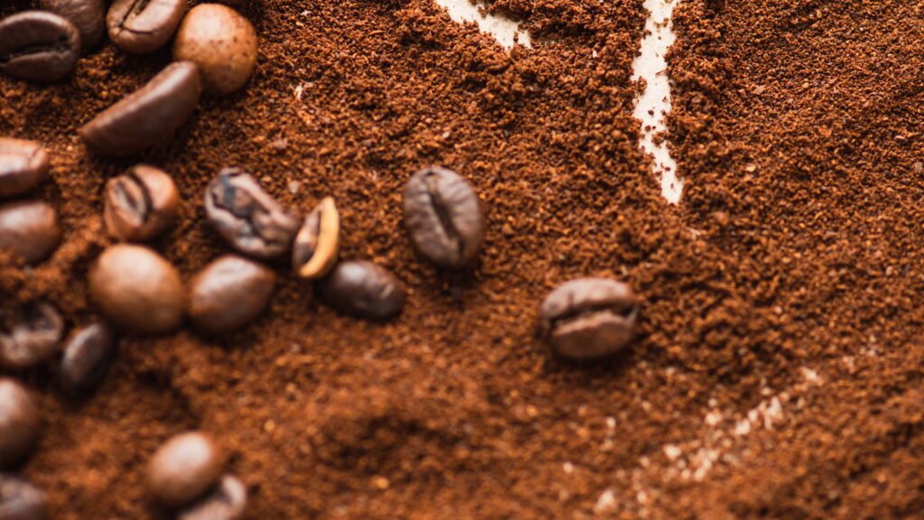 6 formas geniais de reutilizar borra de café e surpreender no jardim e em casa