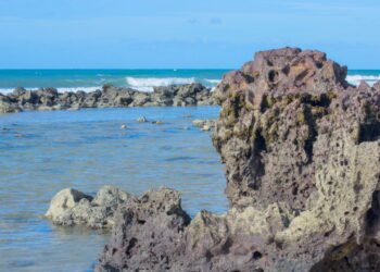 O encanto irresistível dessa praia faz todo mundo querer mudar de vida