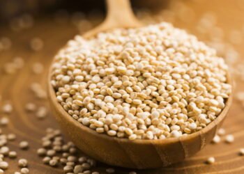 9 razões pelas quais a quinoa pode não merecer seu papel de destaque em todas as tigelas de grãos