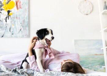 Dicas para acostumar o pet ao uso de roupinhas e acessórios sem incômodos