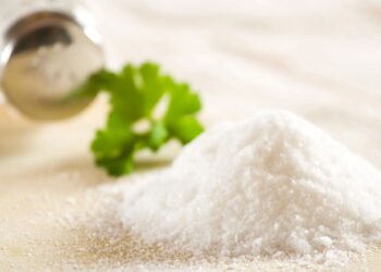 O tempero mais sustentável e surpreendente da sua cozinha está aqui