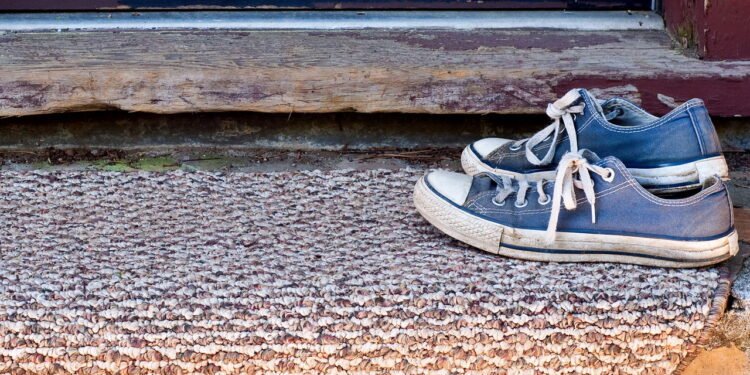 7 formas criativas de usar o organizador de sapatos de porta além dos calçados