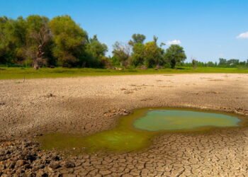 Cientistas alertam sobre seca histórica que ameaça milhões de pessoas