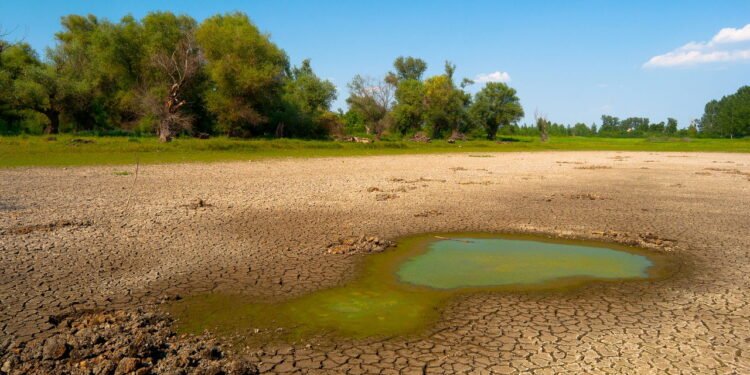 Cientistas alertam sobre seca histórica que ameaça milhões de pessoas