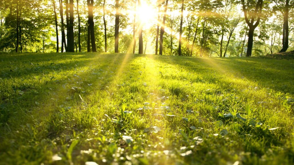 O ritual matinal que acaba com a sua ansiedade durante o dia