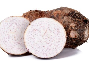 Descoberto os benefícios surpreendentes da Taioba para o corpo humano