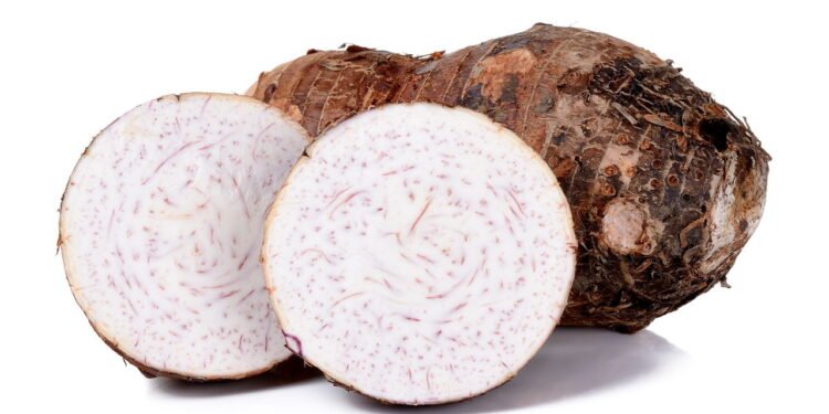 Taioba - Créditos: depositphotos.com / khumthongonline@gmail.com