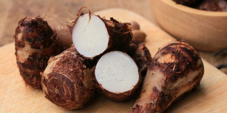 Taioba - Créditos: depositphotos.com / oilslo