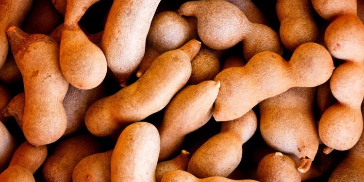 Tamarindo - Créditos: depositphotos.com / thawornnulove