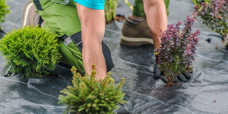 Tecido paisagismo - Créditos: depositphotos.com / welcomia