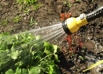 O mais marcante aroma da infância explicado pela ciência moderna