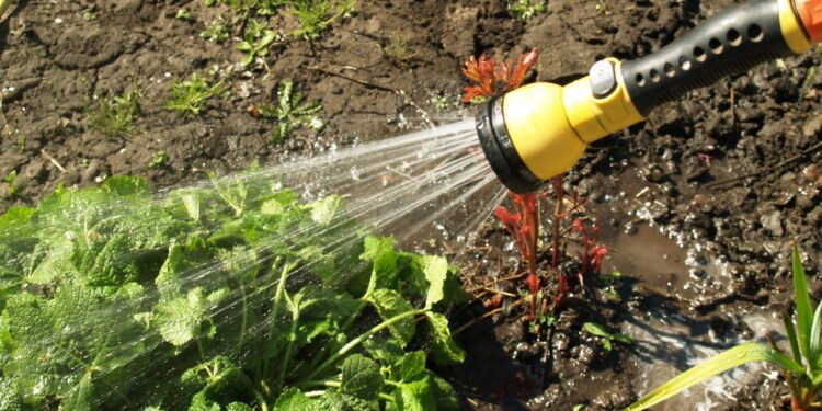 O mais marcante aroma da infância explicado pela ciência moderna