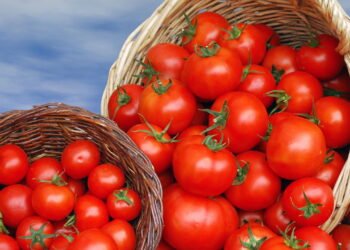 No verão você não pode perder esse alimento: você se sente satisfeito e emagrece rapidamente