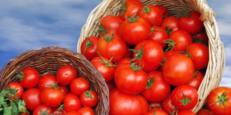 No verão você não pode perder esse alimento: você se sente satisfeito e emagrece rapidamente