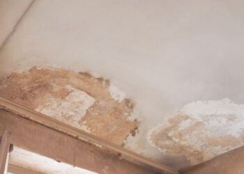 O melhor truque para acabar com cheiro de mofo e deixar a casa cheirosa