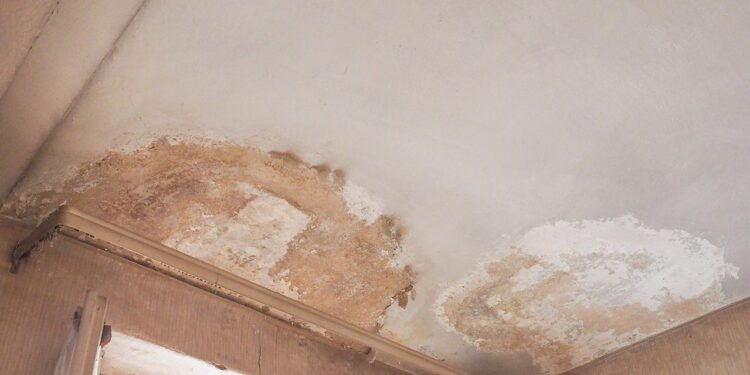 O melhor truque para acabar com cheiro de mofo e deixar a casa cheirosa