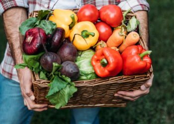 5 dicas práticas para incentivar o consumo de vegetais por crianças