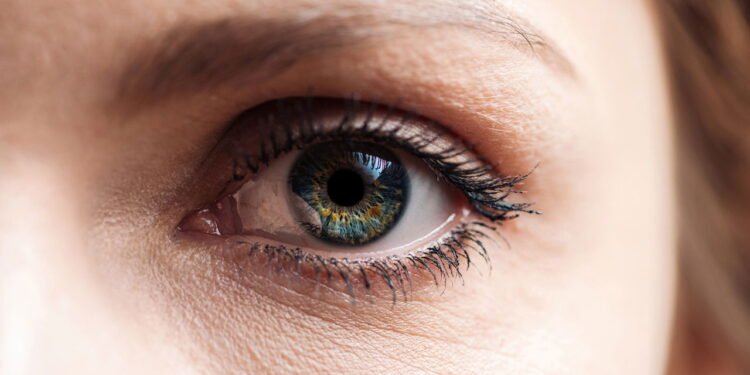 Problemas de visão? Estes alimentos podem ajudar seus olhos todos os dias