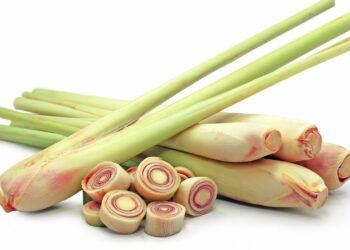 O chá mais poderoso para ansiedade e sono reparador