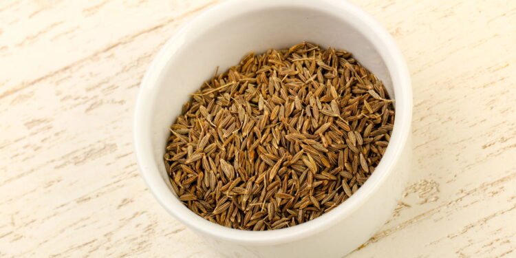 é um aliado poderoso para a saúde do sistema digestivo - Créditos: depositphotos.com / AndreySt