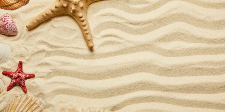 Cientistas dizem ter resolvido o mistério do que matou mais de 5 bilhões de estrelas-do-mar