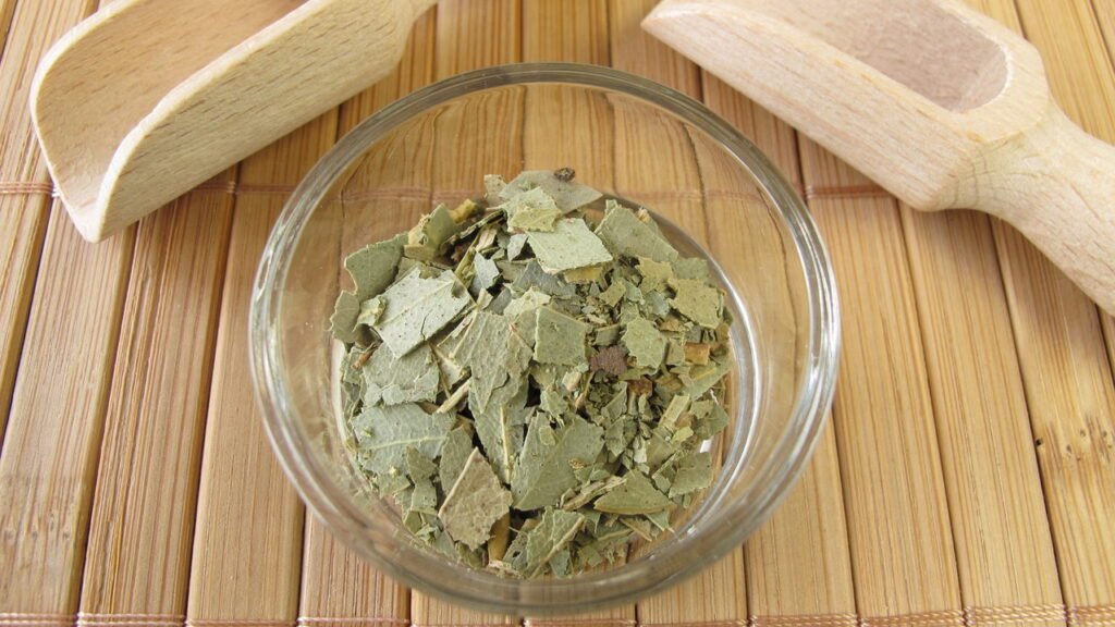 O aliado poderoso contra gripes e resfriados que você precisa conhecer