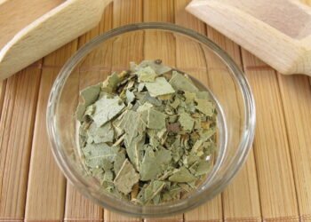 O aliado poderoso contra gripes e resfriados que você precisa conhecer