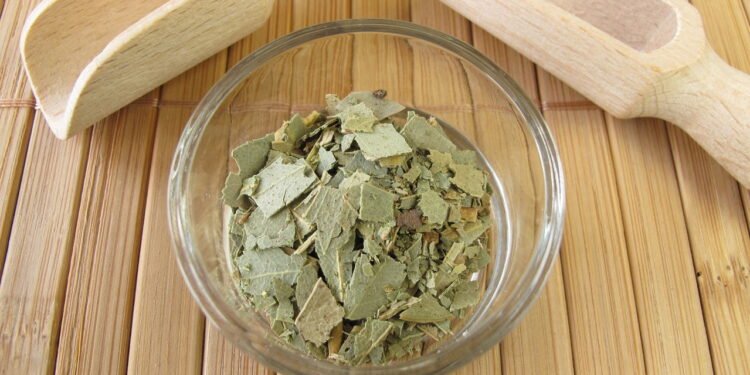 O aliado poderoso contra gripes e resfriados que você precisa conhecer