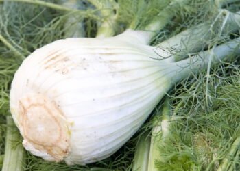 A planta aromática que pode aliviar gases e proteger seu intestino