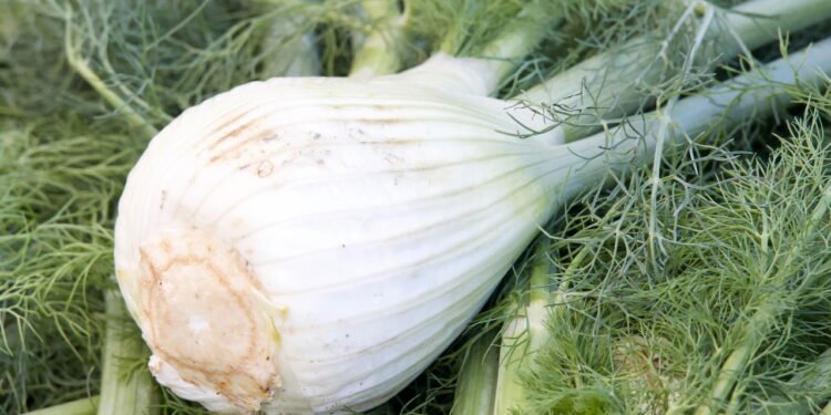 Efeito carminativo que alivia gases e inchaço - Créditos: depositphotos.com / Sheilaf2002