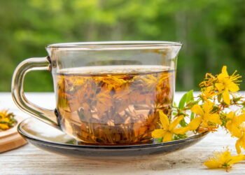 Plantas que melhoram o humor e reduzem a ansiedade segundo estudos