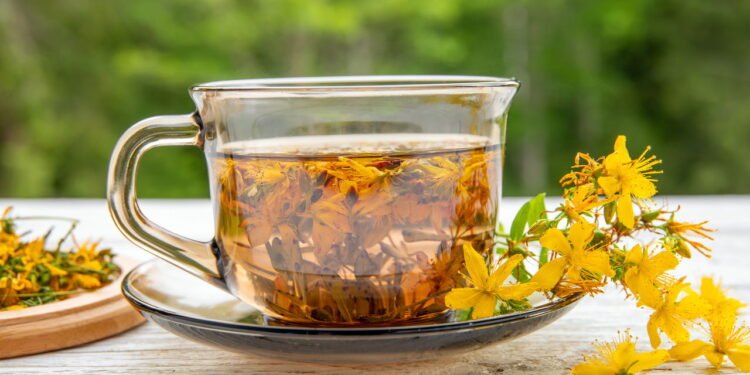 A erva-de-são-joão é uma das plantas medicinais mais estudadas para o tratamento da depressão leve - Créditos: depositphotos.com / FotoHelin