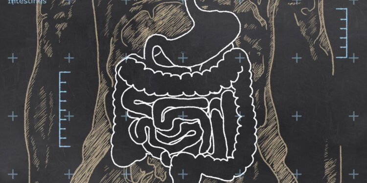 nfecção Intestinal - Créditos: depositphotos.com / TLFurrer