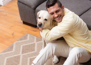 Essa raça é a mais querida por quem busca um amigo fiel e carinhoso