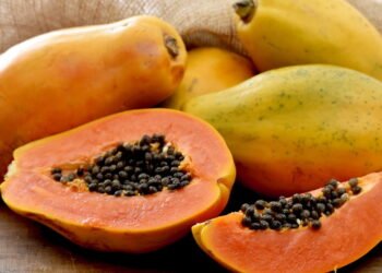 Como plantar mamão em vaso e aproveitar seus benefícios nutritivos