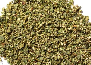 Descoberto efeito surpreendente do Orégano no corpo humano