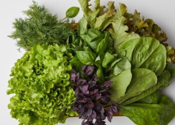 Descoberto efeitos pouco conhecidos da Rúcula segundo a ciência moderna