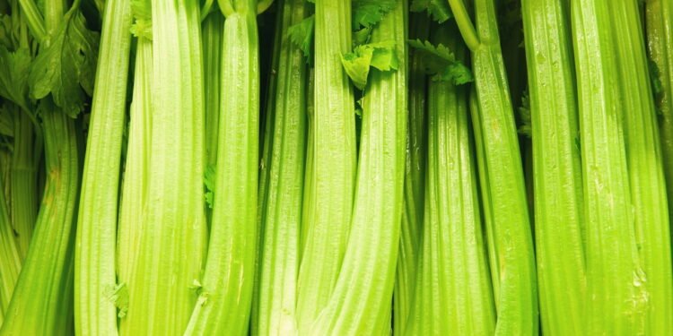 Aipo - Créditos: depositphotos.com / vannphotography