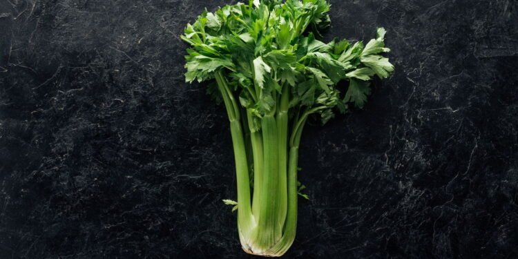 A melhor maneira de armazenar aipo para que ele permaneça perfeitamente crocante por mais tempo