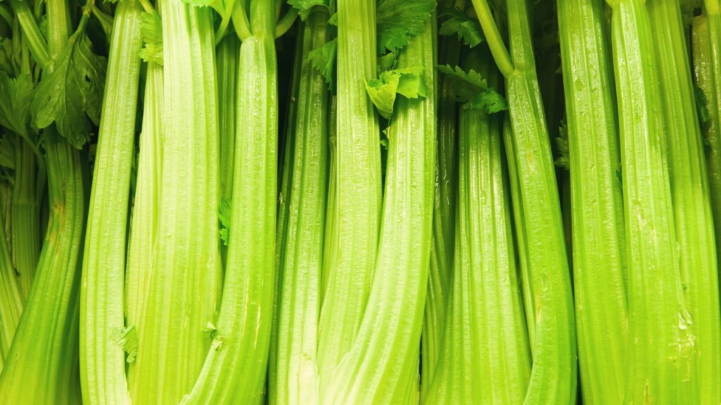 A melhor maneira de armazenar aipo para que ele permaneça perfeitamente crocante por mais tempo