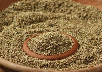 Esse tempero simples da cozinha pode concentrar vitamina B12 de forma surpreendente