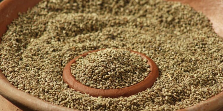 Esse tempero simples da cozinha pode concentrar vitamina B12 de forma surpreendente