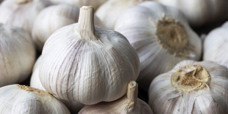 Não é para decoração: qual a finalidade de pendurar alho na cozinha