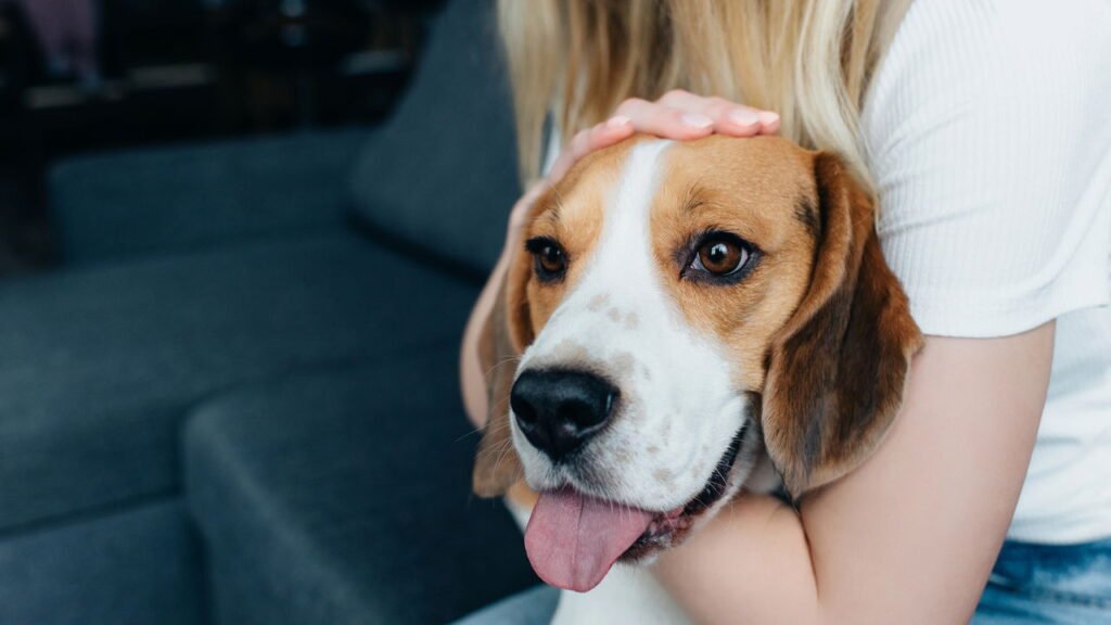 Estudo revela que os nomes de animais de estimação mais populares inspirados em livros são ouro literário
