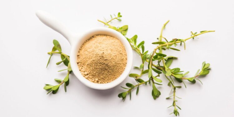Esta erva pode melhorar a função cerebral, reduzir o estresse e até reduzir a inflamação