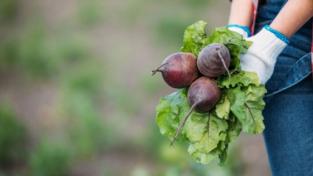 Este vegetal comum pode ajudar a reduzir a pressão arterial